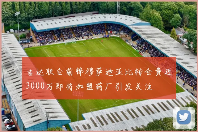 吉达联合前锋穆萨迪亚比转会费近3000万即将加盟药厂引发关注